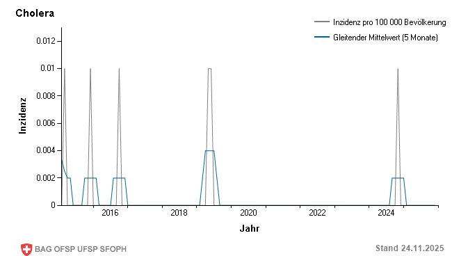 Monatliche Inzidenz pro 100 000 Bevölkerung bis Woche 47/2025