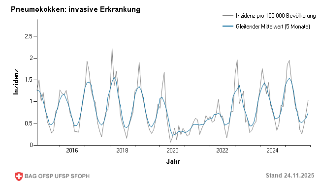 Monatliche Inzidenz pro 100 000 Bevölkerung bis Woche 47/2025